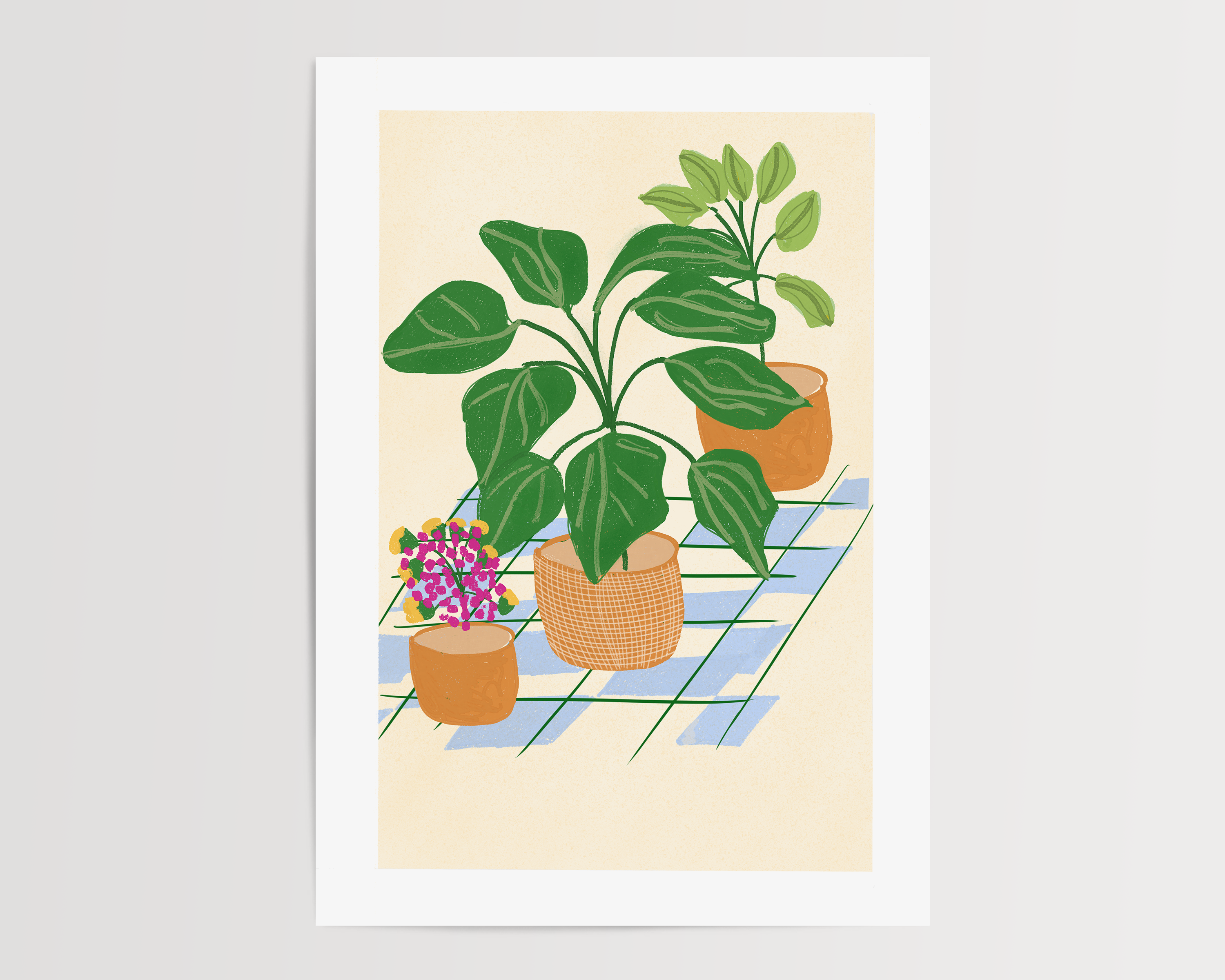 THE HOUSE OF PLANTS